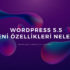 Wordpress 5.5 Yeni özellikleri nedir?
